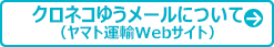 ヤマト運輸 クロネコゆうメール 箱